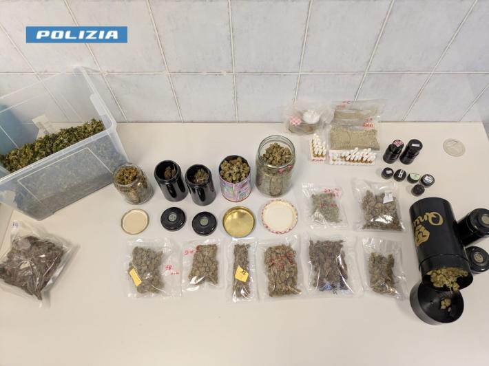 Fiori, piante e...marijuana: smantellato a Colorno il "laboratorio della droga" di un vivaista 