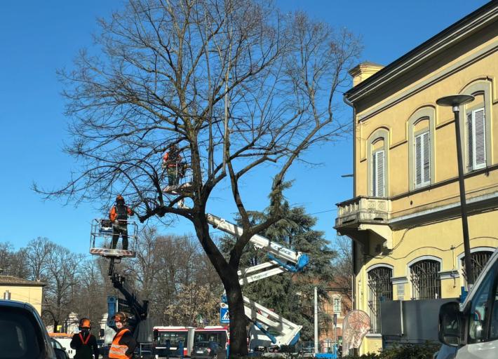 Potature, code in viale Vittoria - Le foto