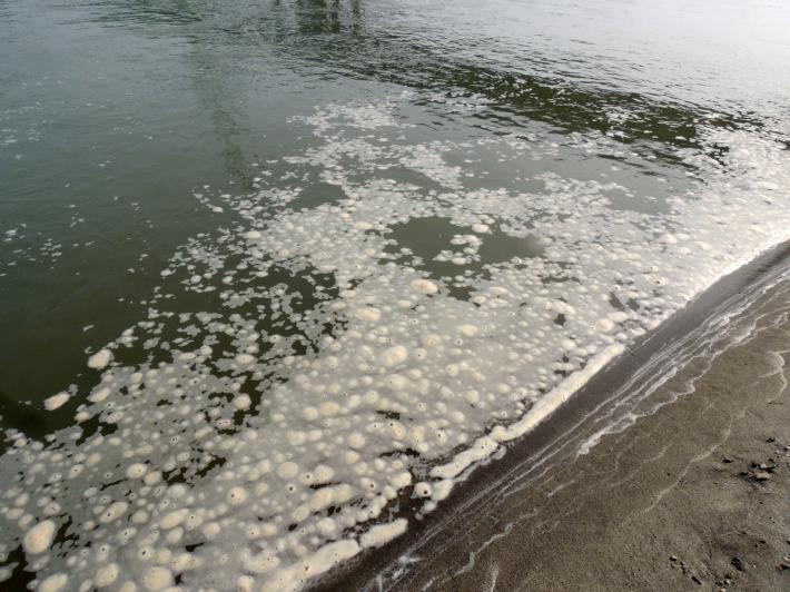Ponte Verdi, sversamento di liquami nel Po: indagini in corso - Foto