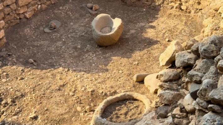 Un mix di verdure con carne e pesce: ecco le ricette preistoriche