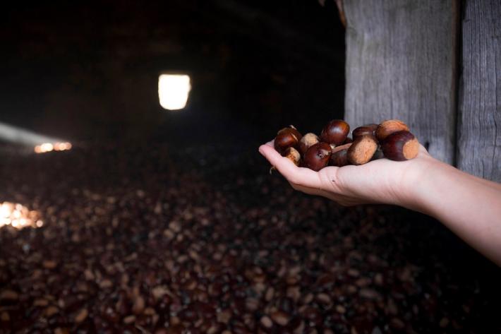 A Filattiera "castagneti al centro" con la due-giorni di Slow Food