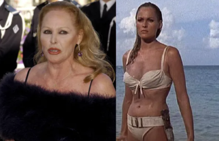 Riciclaggio ai danni di Ursula Andress, sequestro da 20 milioni