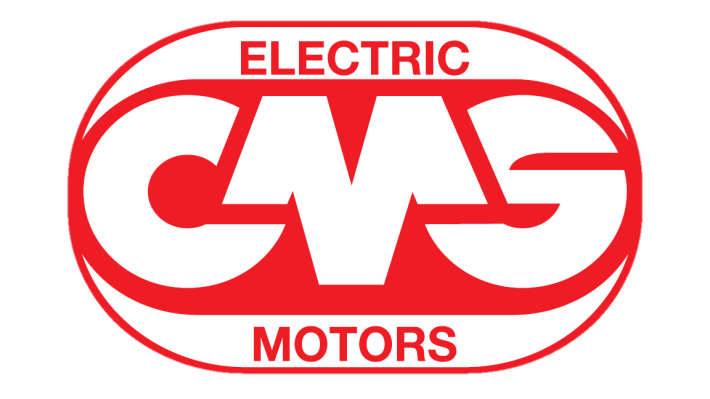 Oggi e Domani: la Forza di una Squadra