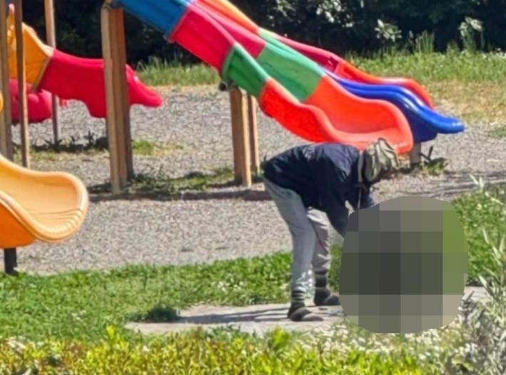 Uccide un gatto nel parco e cerca di cucinarlo, denunciato