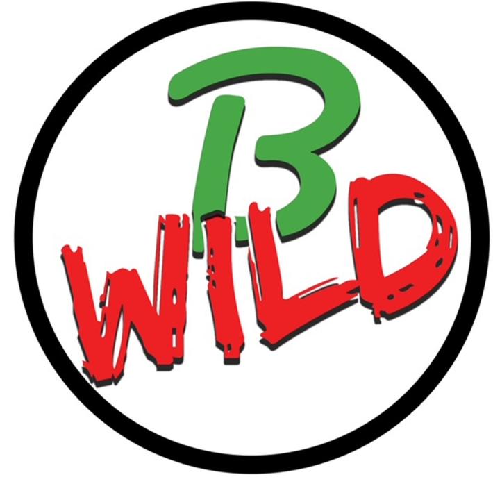 B-Wild &ndash;&nbsp;Storie di viaggio 