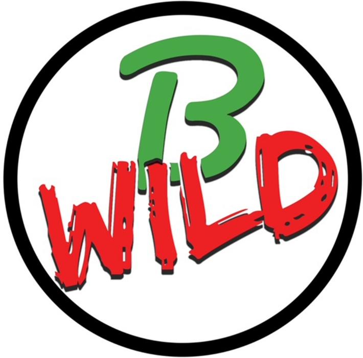B-Wild &ndash;&nbsp;Storie di viaggio