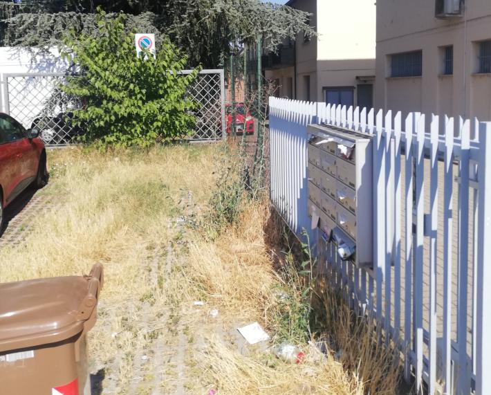 Amazonas? no, parcheggio viale Villetta.