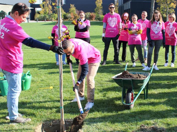 Chiesi, volontariato aziendale a favore di KilometroVerdeParma