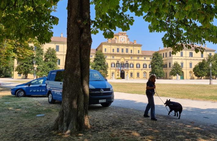 Controlli straordinari del territorio finalizzati al contrasto della criminalit&agrave;: sequestri di droga al Parco Ducale