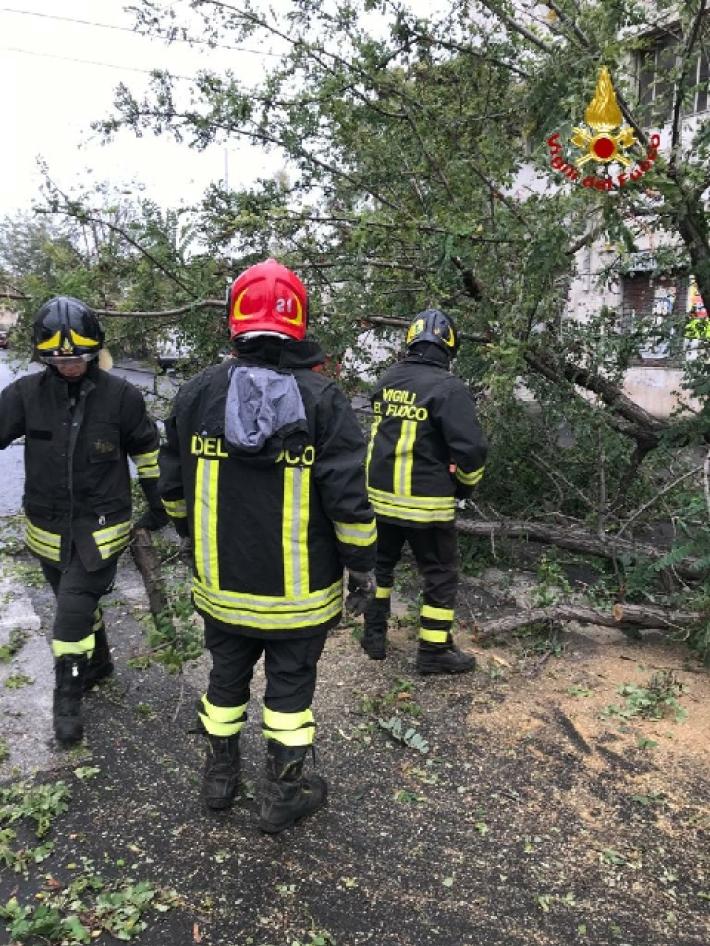 Sala Baganza, il forte vento abbatte un albero in via Olmo: vigili del fuoco in azione. Segnalazioni anche in citt&agrave;