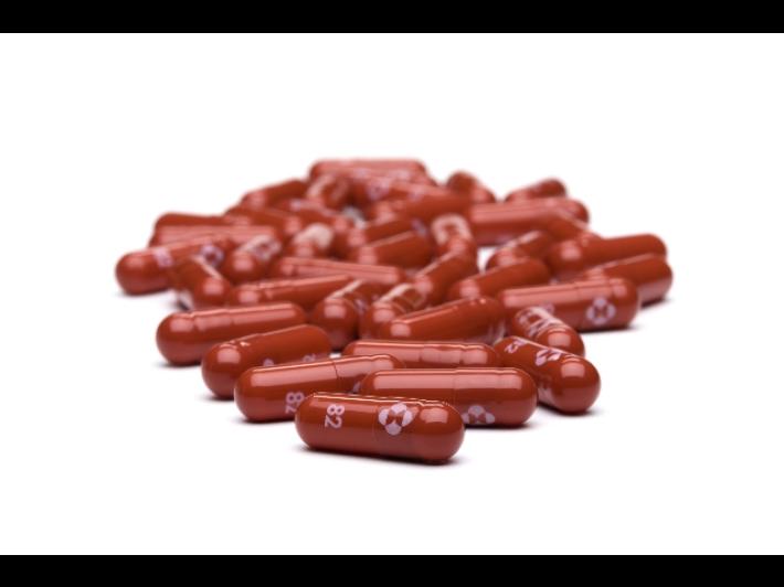 Pillola anti-Covid: le prime 840 consegnate all'Emilia-Romagna, 20 a Parma