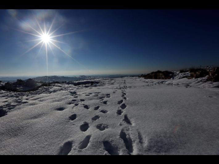 Maxinevicata in Arabia Saudita, i video virali sui social - Video 