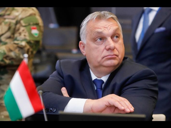 Ucraina: Orban vieta trasferimento di armi verso il Paese