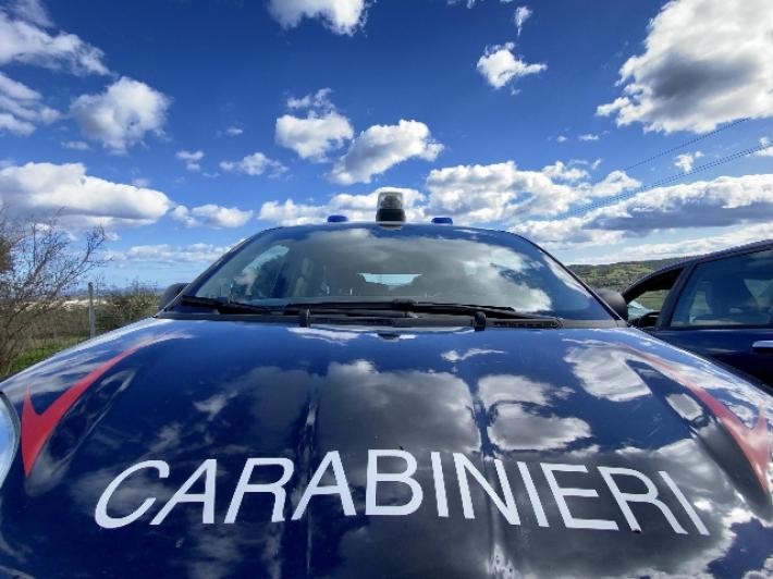 Cadavere di donna fatto a pezzi trovato nel Bresciano