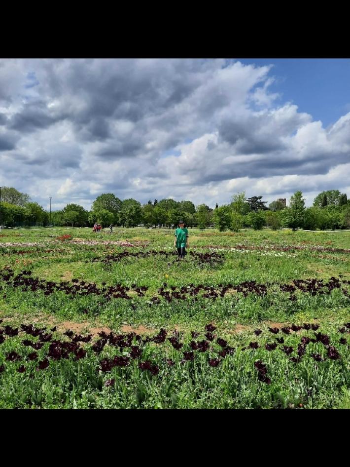 Comunicato Regione: Cultura e paesaggio. "Passeggiate patrimoniali" alla scoperta della ricchezza culturale e naturale dell'Emilia-Romagna