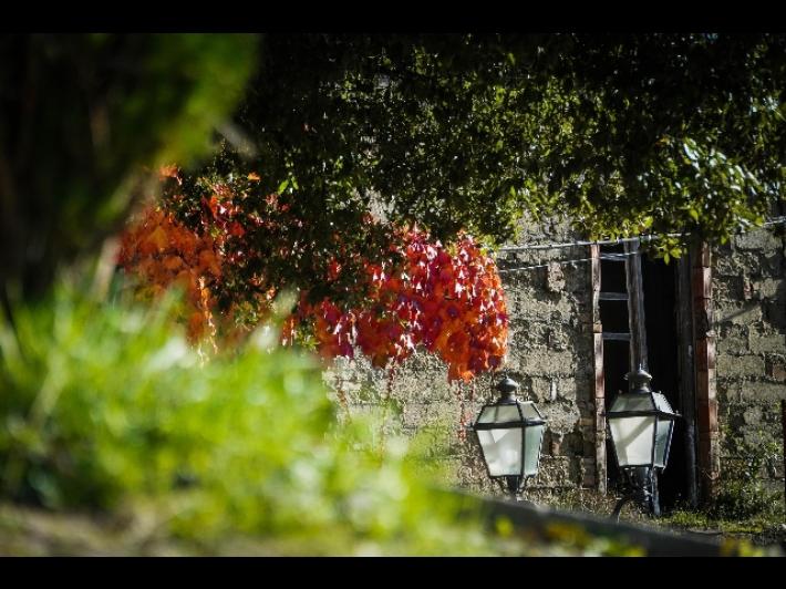 Professionista e in cerca esperienze, ecco Nomade digitale 2.0