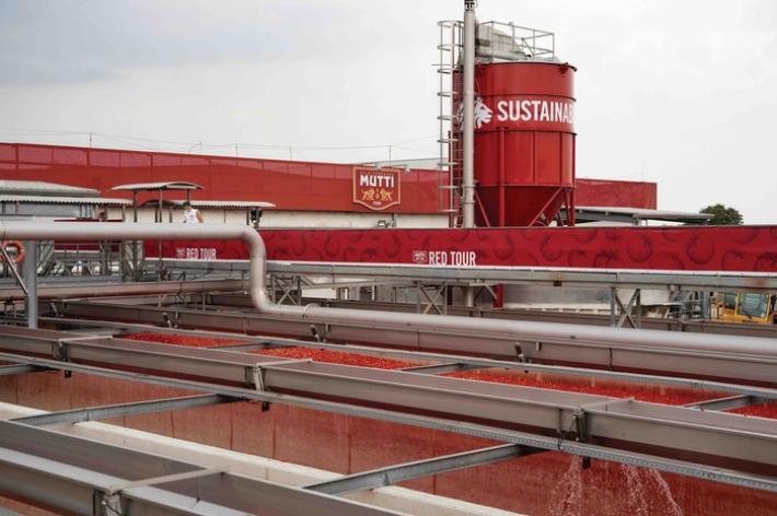 Mutti: bene la campagna del pomodoro nonostante costi energetici alle stelle e crisi irdica