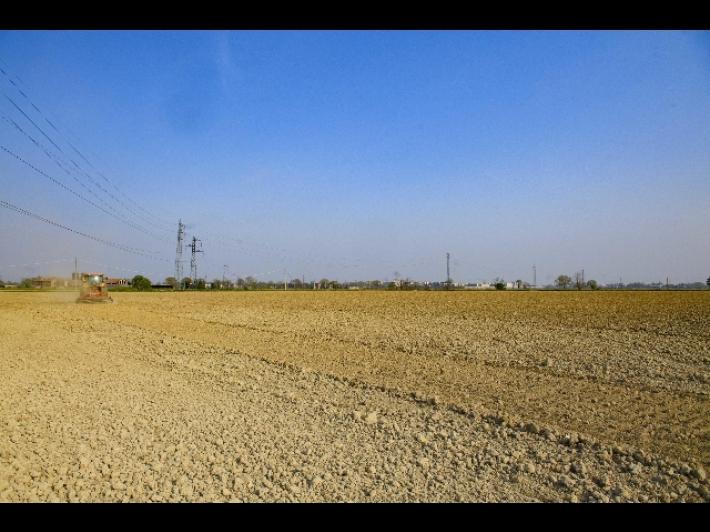 Indennizzi riconosciuti alle imprese agricole dell&rsquo;Emilia-Romagna 