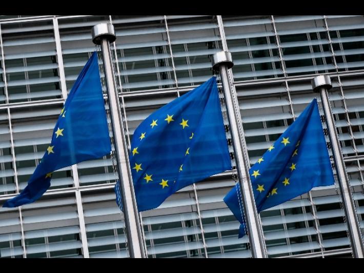 A che punto &egrave; l'integrazione economica europea