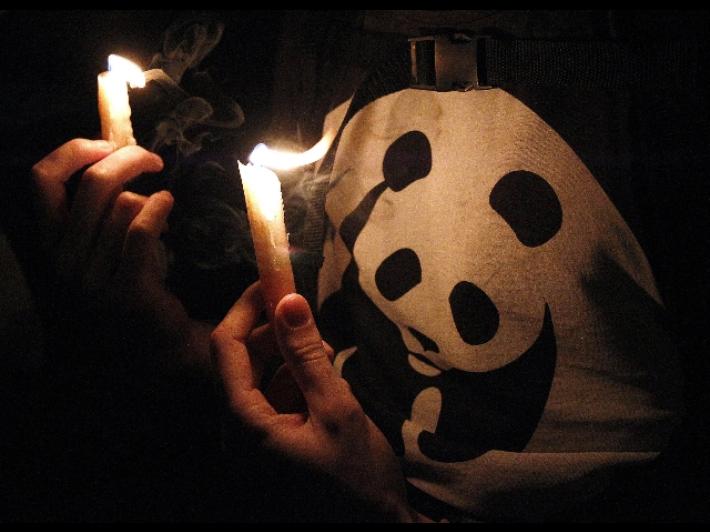 Mosca inserisce Wwf nella lista degli agenti stranieri