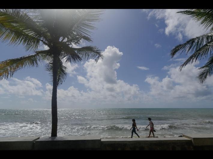 Brasile primo al mondo per letalit&agrave; degli attacchi di squalo