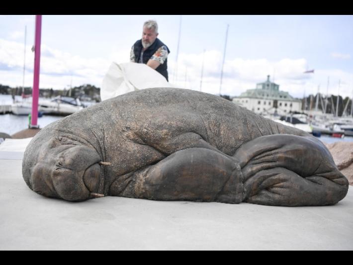 A Oslo inaugurata una statua in ricordo del tricheco Freya