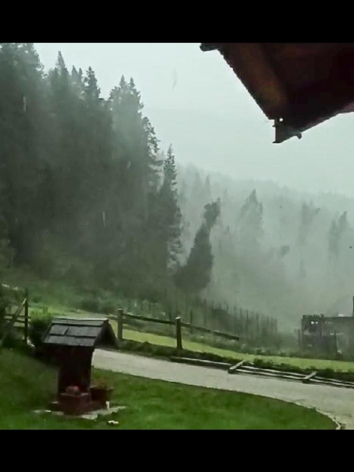 Tromba d'aria devasta i boschi del Cadore. Il presidente Zaia: "Alcuni versanti sono stati completamenti abbattuti"