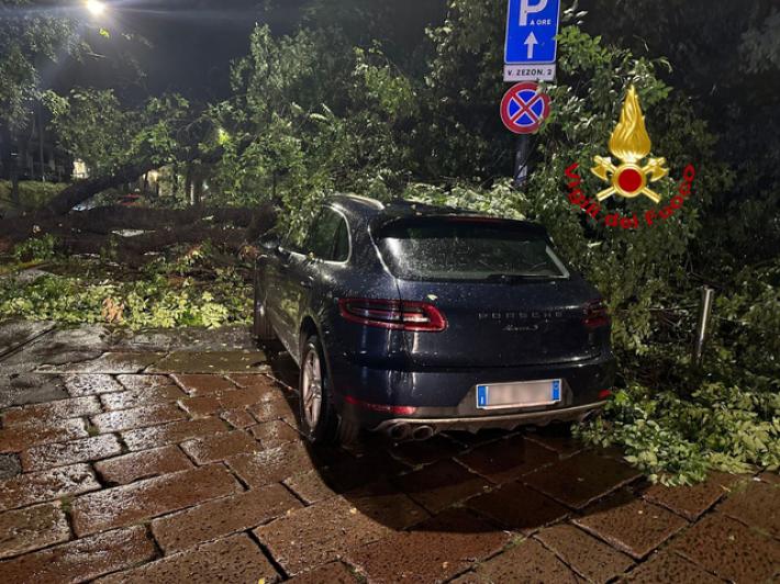 Pioggia e vento fortissimo a Milano: alberi pericolanti e cartelloni pubblicitari caduti. Tromba d'aria nel Varesotto. Tante le chiamate ai vigili del fuoco