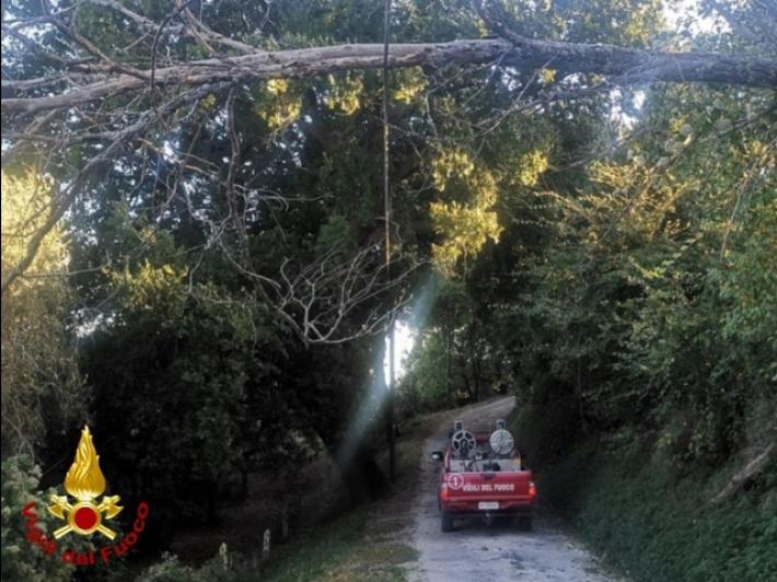Vento forte nelle Marche, centinaia interventi vigili fuoco