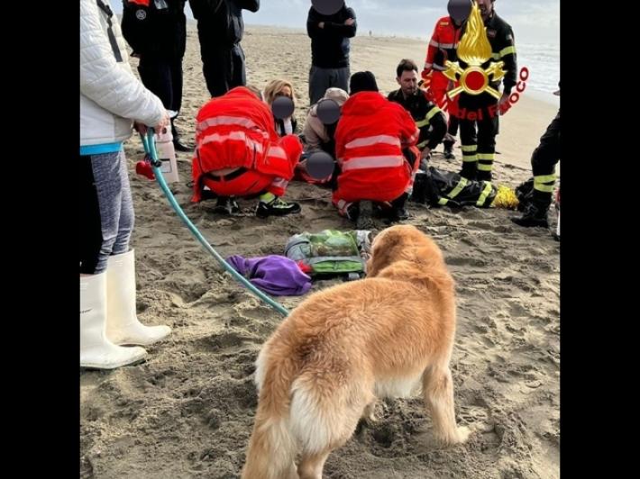 Padrone si tuffa in mare per salvare cane, rischia di annegare