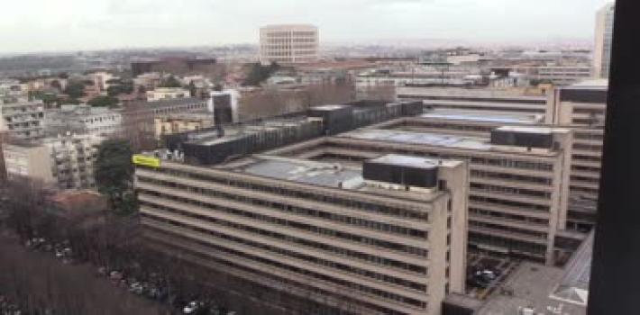 Precipita da terrazza al quarto piano, muore 67enne