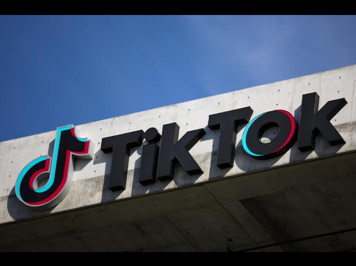 Si uccise su TikTok, 'il giudice ordini l'accesso al profilo'