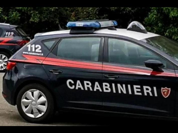 Aggredita e uccisa dal proprio cane, vittima un'anziana nelle Marche sotto gli occhi del marito
