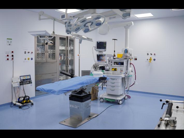 Morta per calcio di un cavallo a 13 anni, Procura apre fascicolo