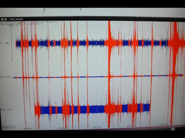 Terremoto nell'area vesuviana, scossa di magnitudo 3