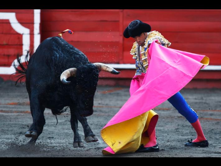 Il Parlamento della Colombia vieta le corride dal 2027