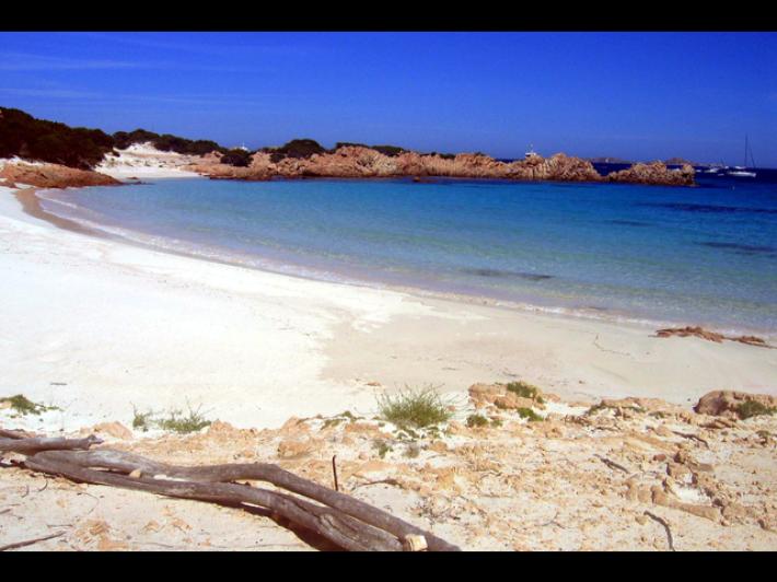 Sbarca sulla spiaggia Rosa a Budelli e posta video, multata una influencer