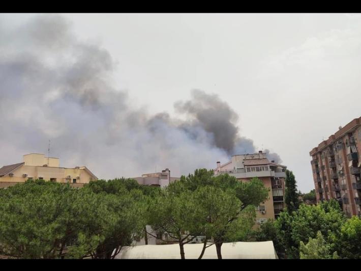 Incendio di sterpaglie a Roma, evacuata facolt&agrave; a Tor Vergata