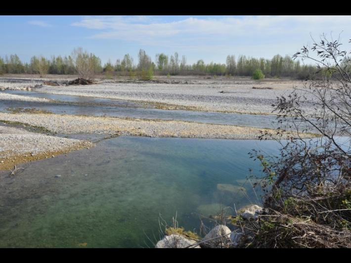 Giallo a Treviso: Alex Marangon, il giovane ritrovato morto sul greto del Piave, non si &egrave; suicidato. Ha ferite alla testa