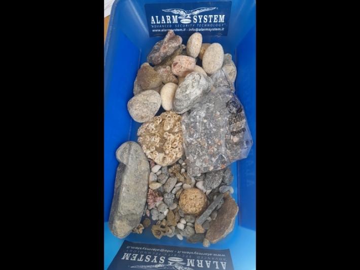 Spiagge sarde depredate, turisti fermati a Olbia con conchiglie