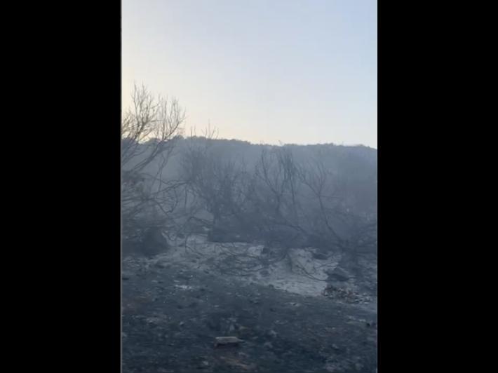 Incendi Nuorese, danni per migliaia di euro e aziende distrutte