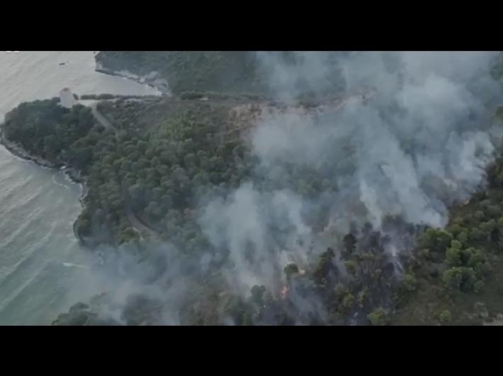 Vasto incendio (doloso) in un bosco a Baia san Felice a Vieste, sul Gargano. Turisti in fuga