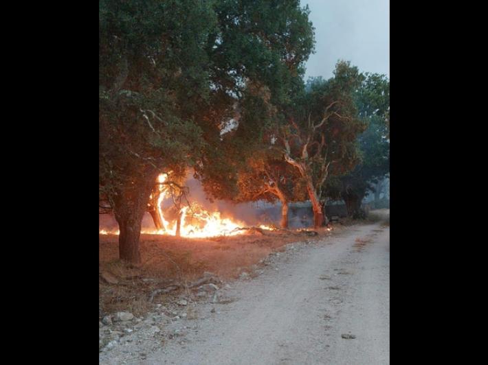 Incendio Nuorese, rabbia allevatori 'aziende difese con frasche'