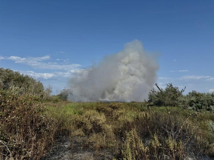 Rogo minaccia Oasi Variconi a Castel Volturno