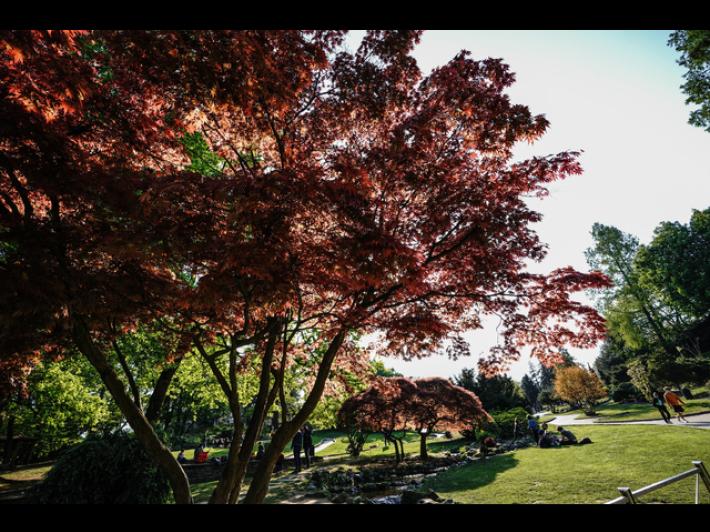 'Mi hanno stuprata', denuncia una violenza di gruppo a Torino