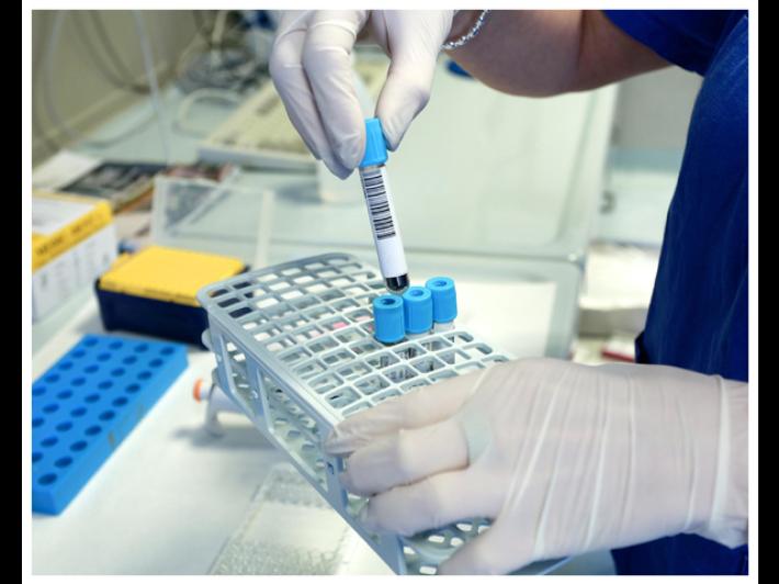 Gli eccidi del 1945: identificate altre quattro persone dopo quasi 80 anni, il Ris di Parma ha analizzato il Dna 