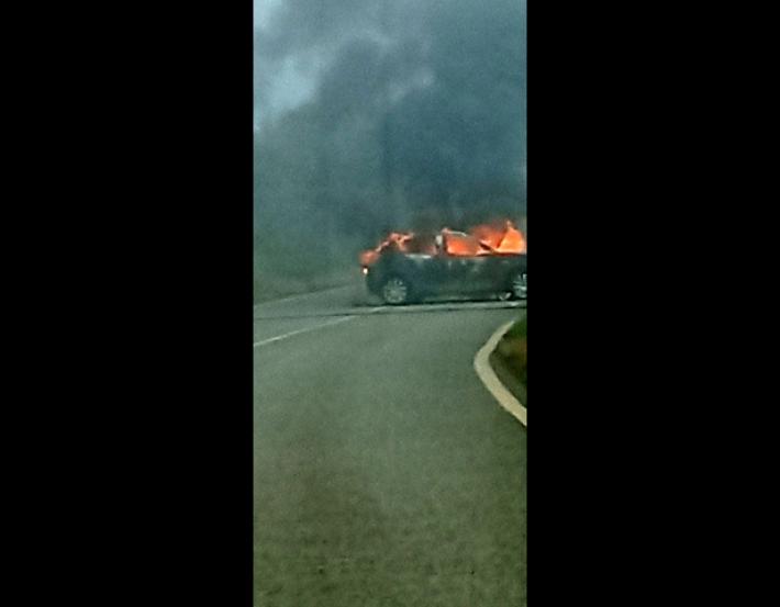 Assalto a un portavalori nel Foggiano con pala meccanica e armi da fuoco: il commando fugge con il bottino