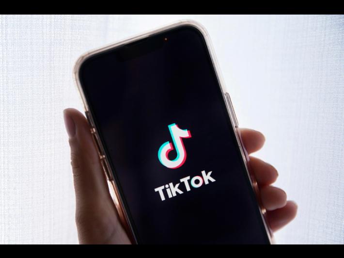 TikTok, notizia trattative con Musk &egrave; 'pura finzione'