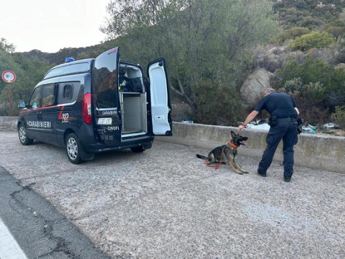 Trovate ossa nel Vicentino: torna l'ipotesi dell'ereditiera americana scomparsa