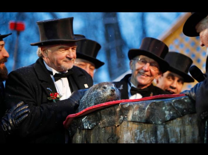 Scienziati Usa mettono in dubbio il meteo della marmotta Phil